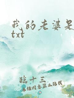 我的老婆是警察txt