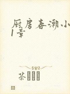 厨房春潮小说第1章