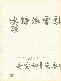 冰糖炖雪梨 小说