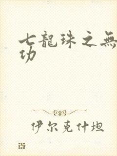 七龙珠之无敌神功