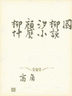 柳颜汐柳国安是什么小说