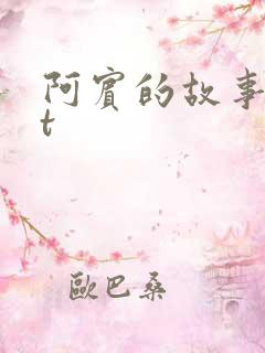 阿宾的故事txt