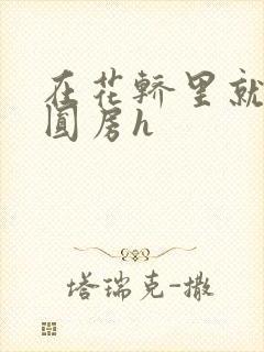 在花轿里就开始圆房h