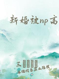 新婚被np高h