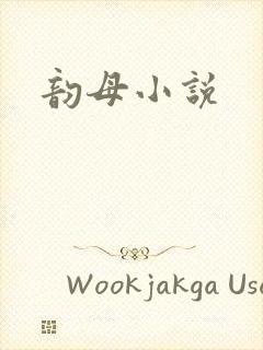 韵母小说