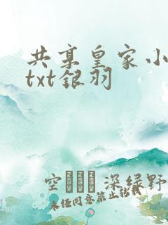 共享皇家小公主txt银羽