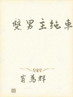 双男主纯车骨科