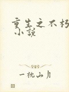 重生之不朽传奇 小说