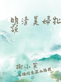 明清美妇牝户小说