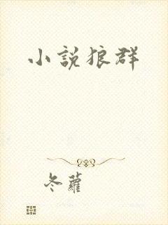 小说狼群