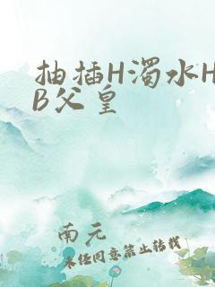 抽插H浊水H嫩B父皇