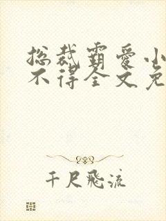 总裁霸爱小妻惹不得全文免费阅读笔趣阁