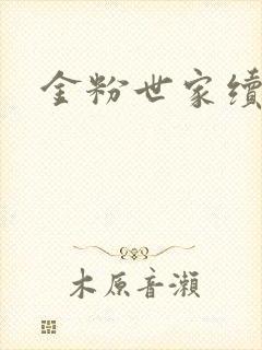 金粉世家续集
