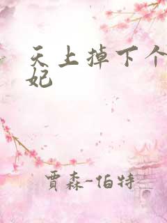 天上掉下个奇王妃