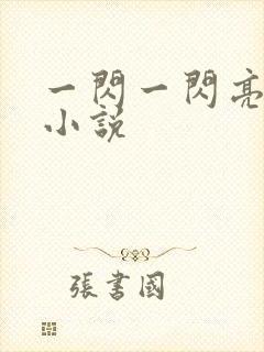 一闪一闪亮晶晶小说