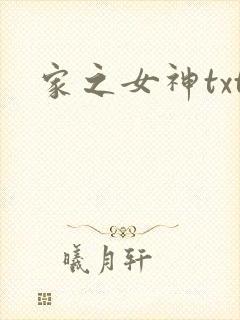 家之女神txt