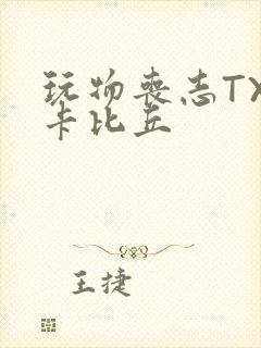 玩物丧志TXT卡比丘