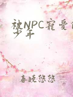 被NPC宠爱的少年