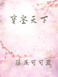 宝鉴天下