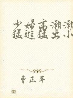 少妇高潮潮喷到猛进猛出小说