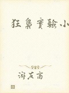 狂枭实验小白鼠