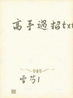 高手过招txt