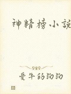 神精榜小说