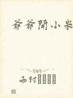 爷爷开小米的处