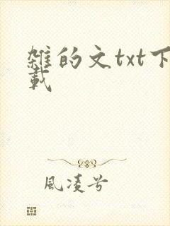 杂的文txt下载