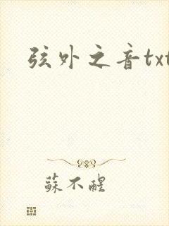 弦外之音txt