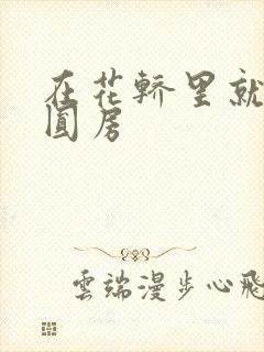 在花轿里就开始圆房