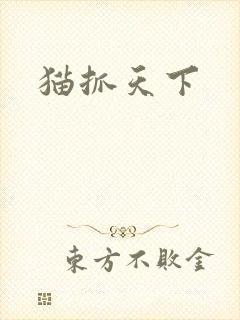 猫抓天下