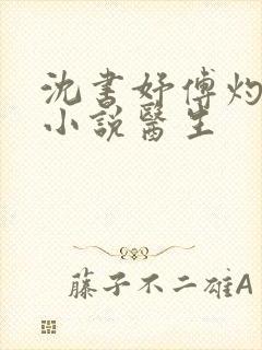 沈书妤傅灼抖音小说医生