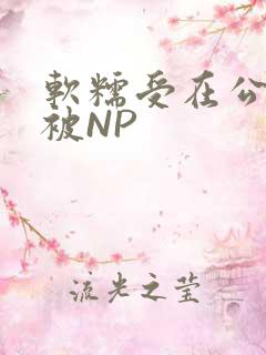 软糯受在公交车被NP