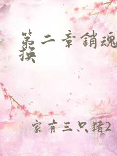 第二章销魂的交换