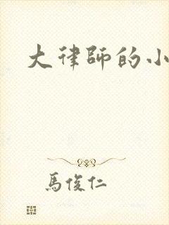 大律师的小老婆