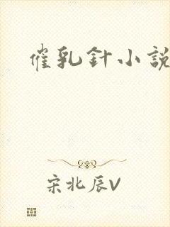 催乳针小说