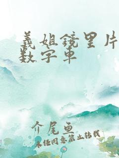 义姐镜里片微博数字车