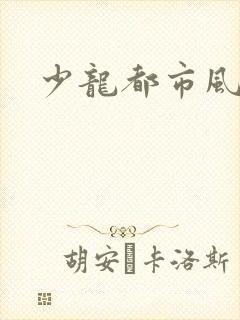 少龙都市风流行