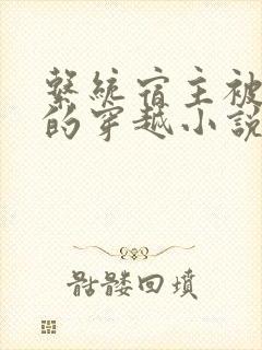 系统宿主被浇灌的穿越小说