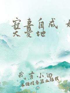 宠妻自成  婚天爱地