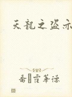 天龙之盗亦有道
