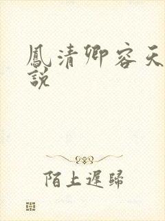 凤清卿容天凌小说