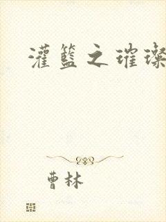 灌篮之璀璨生涯