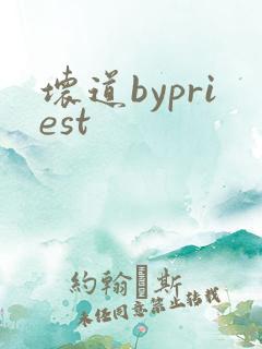 坏道bypriest