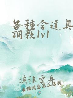 各种含道具高h调教1v1