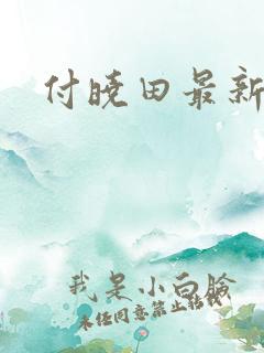 付晓田最新消息