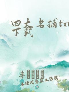 四大名捕txt下载