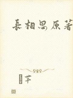 长相思原著小说