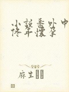 小说番外中结局佟年怀孕